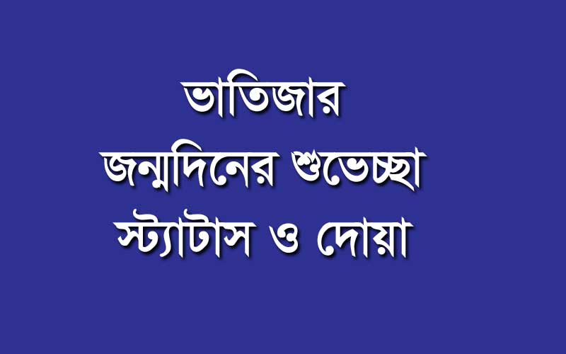 ভাতিজার জন্মদিনের শুভেচ্ছা