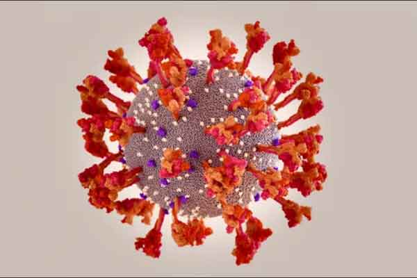 ওমিক্রন ভাইরাস এর লক্ষণ সমূহ